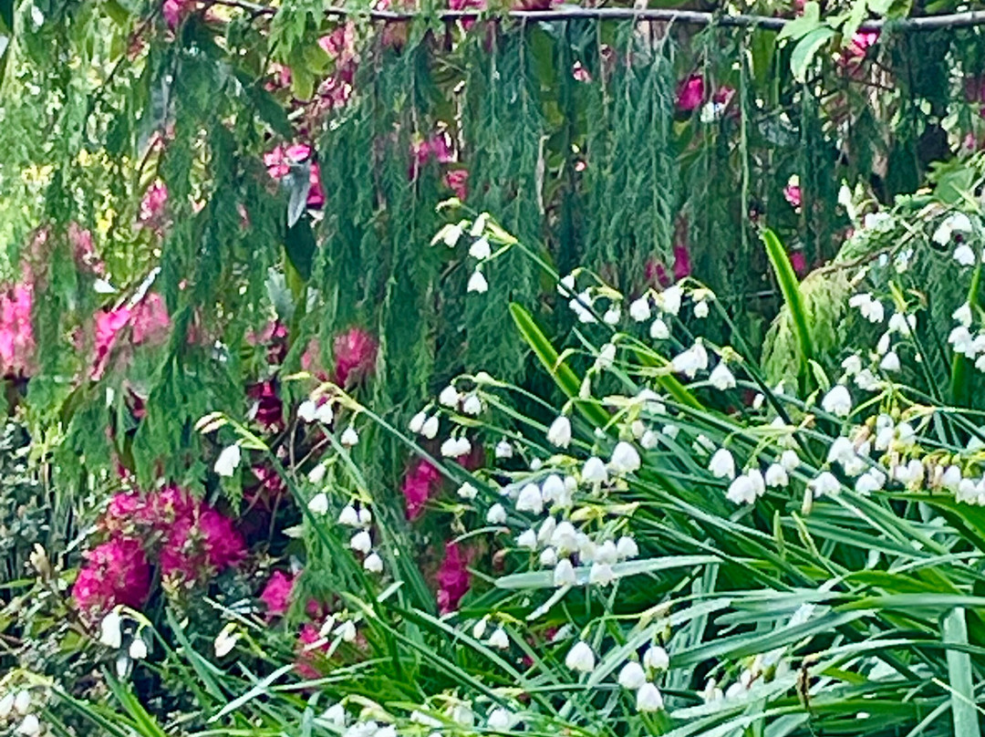 Plas Cadnant Hidden Gardens-Menai Bridge必去景点