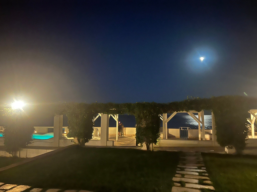 房子和母马酒店主图