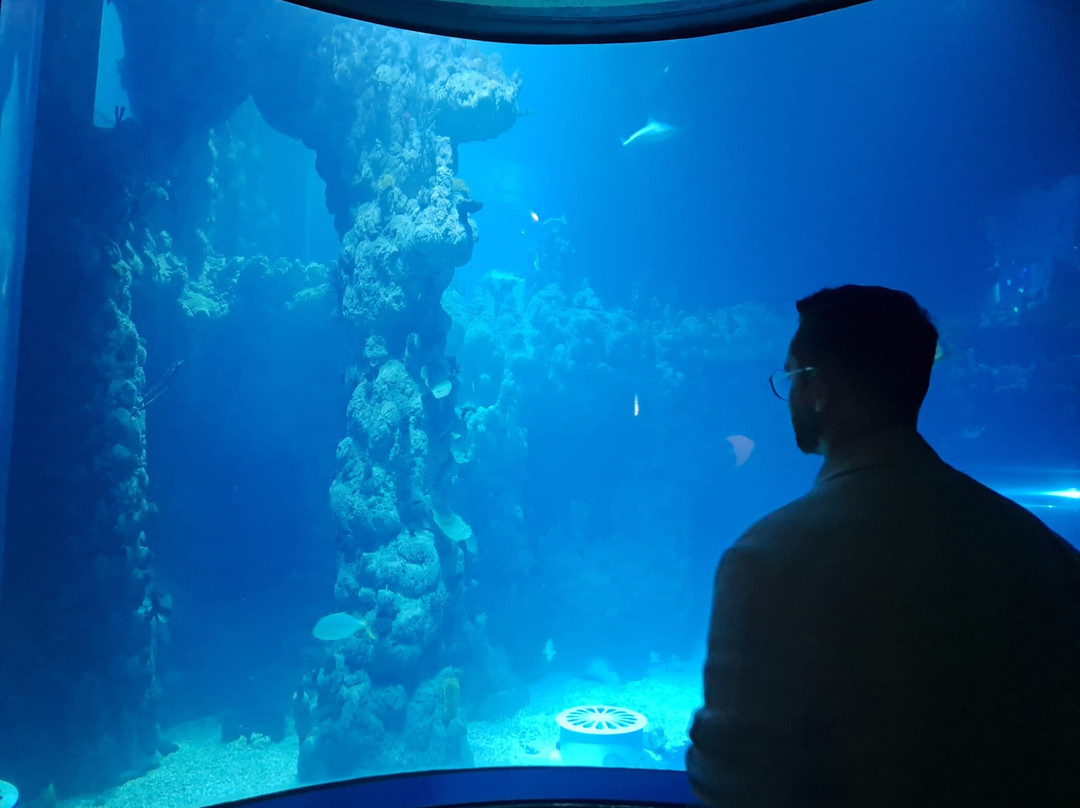The Deep-赫尔河畔金斯顿必去景点