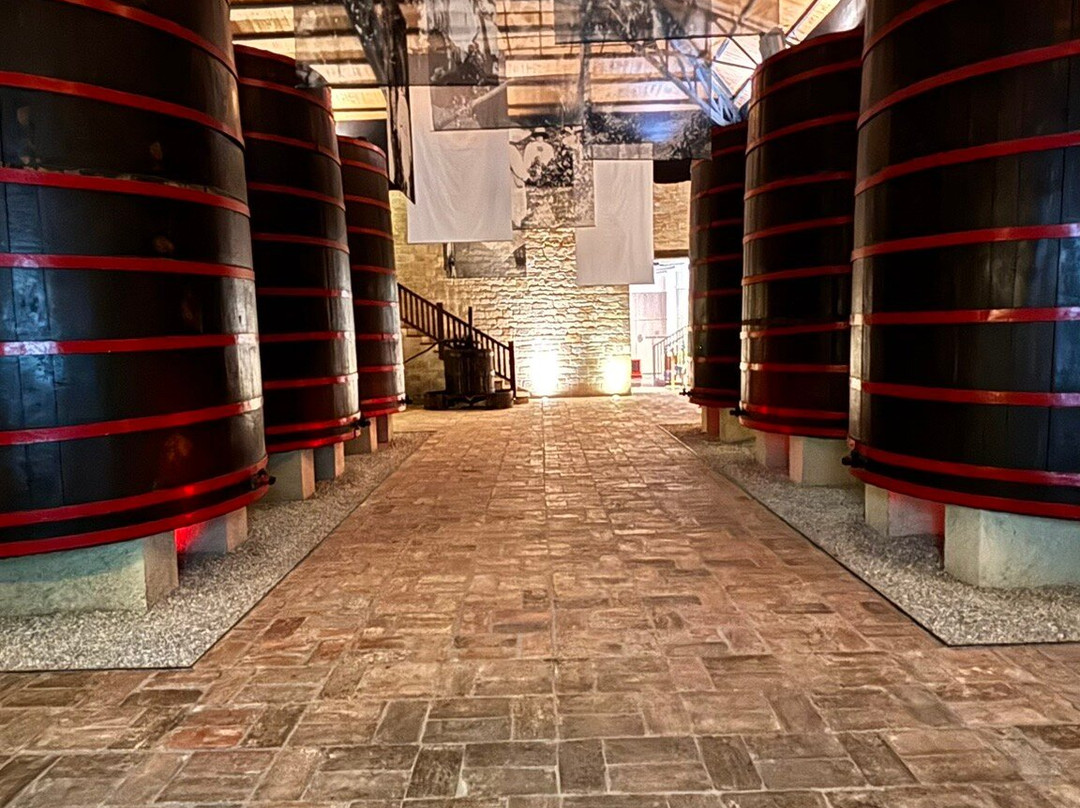 Bodegas Ramon Bilbao-哈罗必去景点