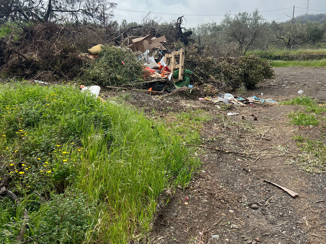 尼若度假别墅及水疗中心主图