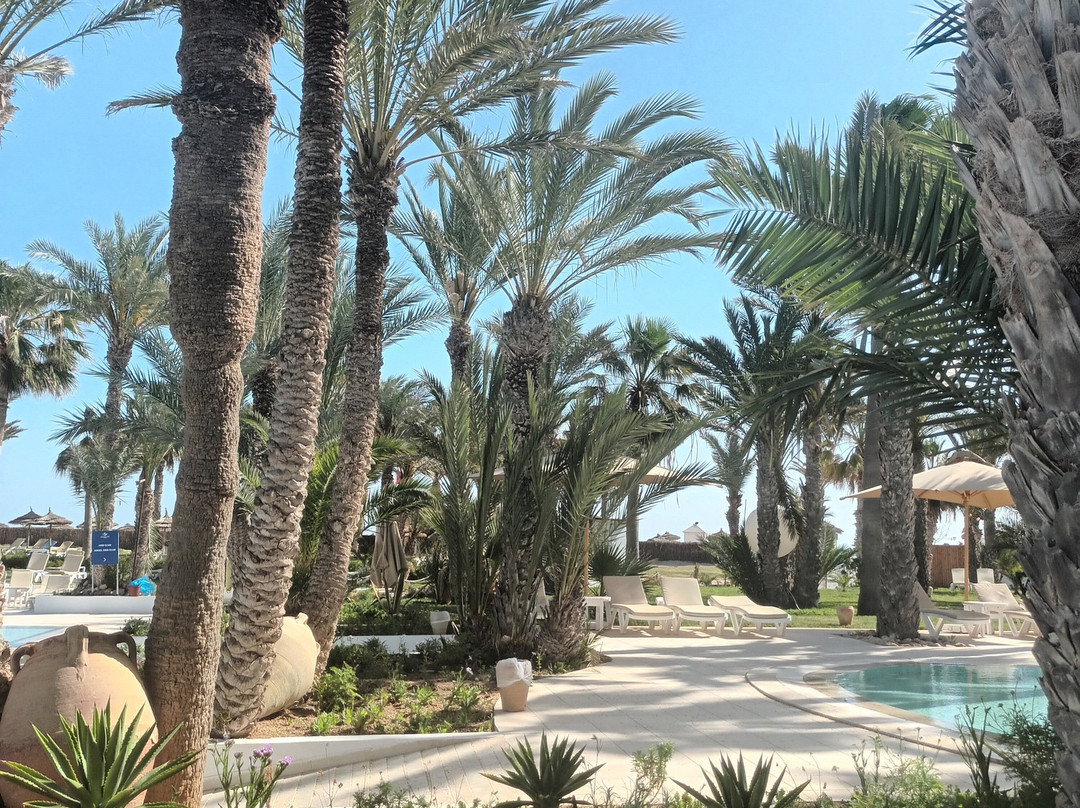 吉尔巴岛棕榈海滩俱乐部主图