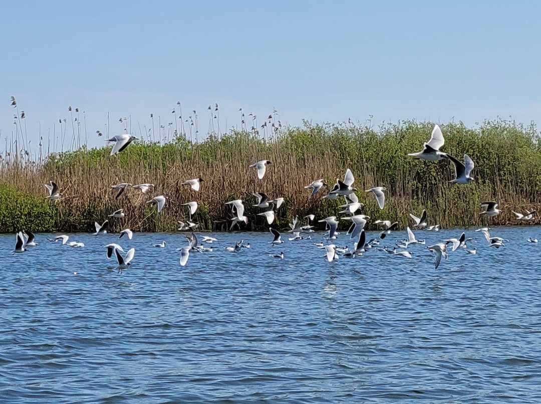 Vila Delta Travel - Mila 23主图