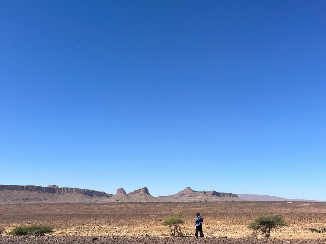 Bivouac sous les Etoiles-迈哈米德必去景点