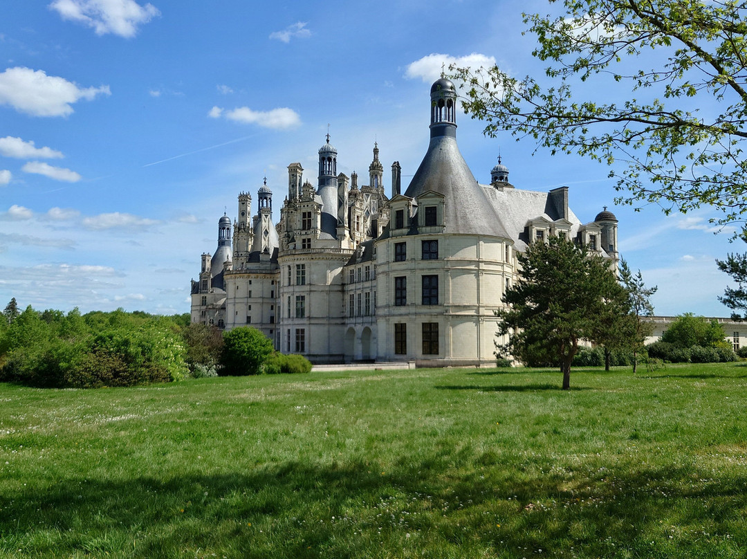 Sans Souci Bed and Breakfast Luxe Heated Pool and Restaurant主图