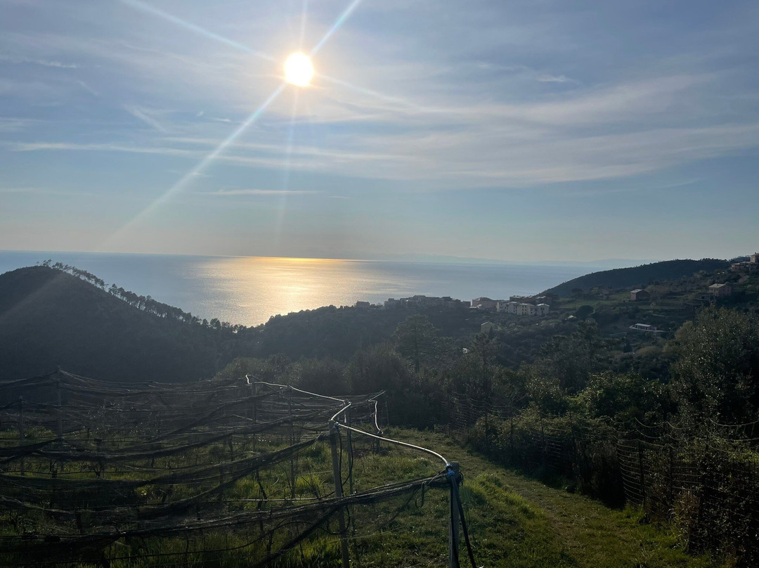 Cà Du Ferrà Wine & Tasting-Bonassola必去景点