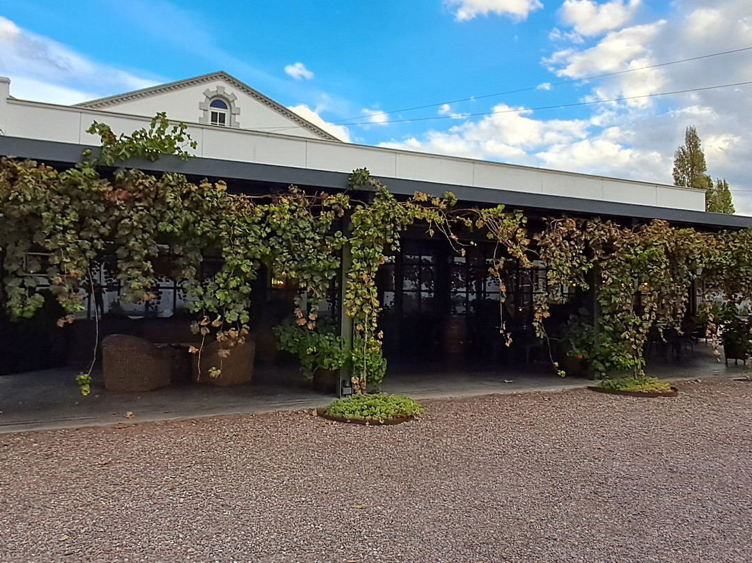 Altieri Wines - Vinorum-路冉得库约必去景点