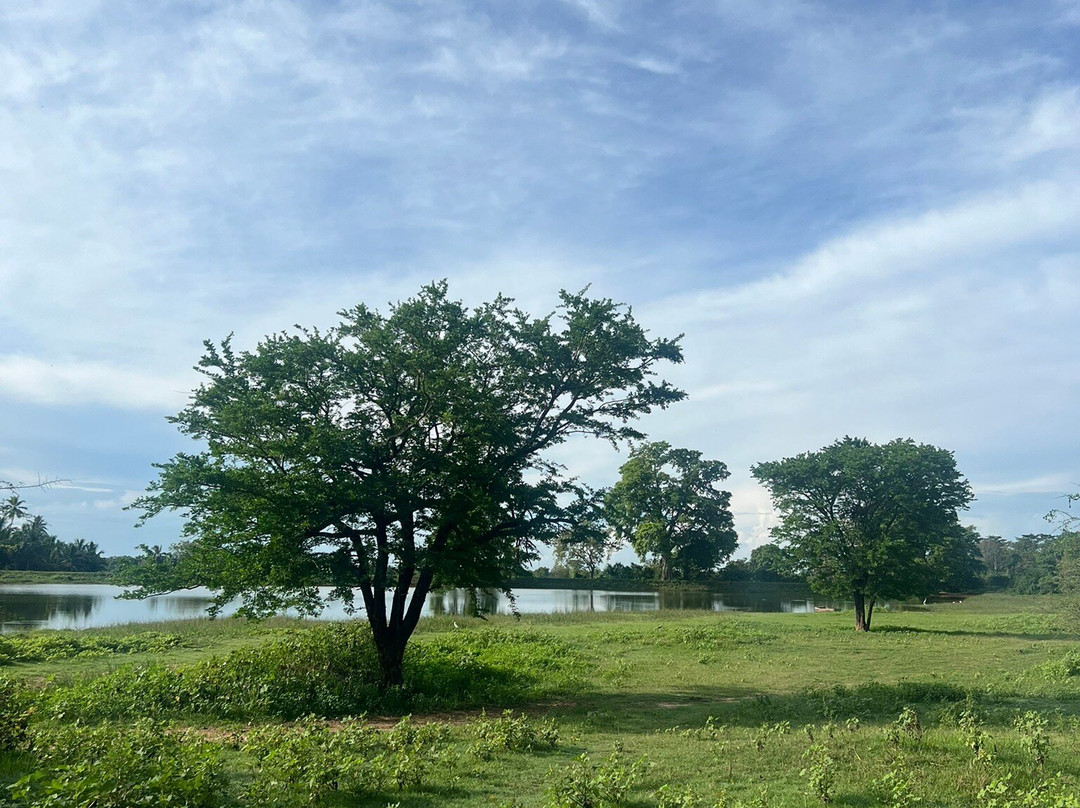 达瓦拉维玛霍拉营地酒店主图