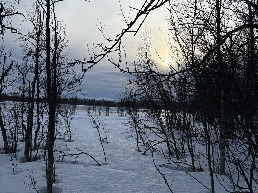 Prestvannet Lake-特罗姆瑟必去景点