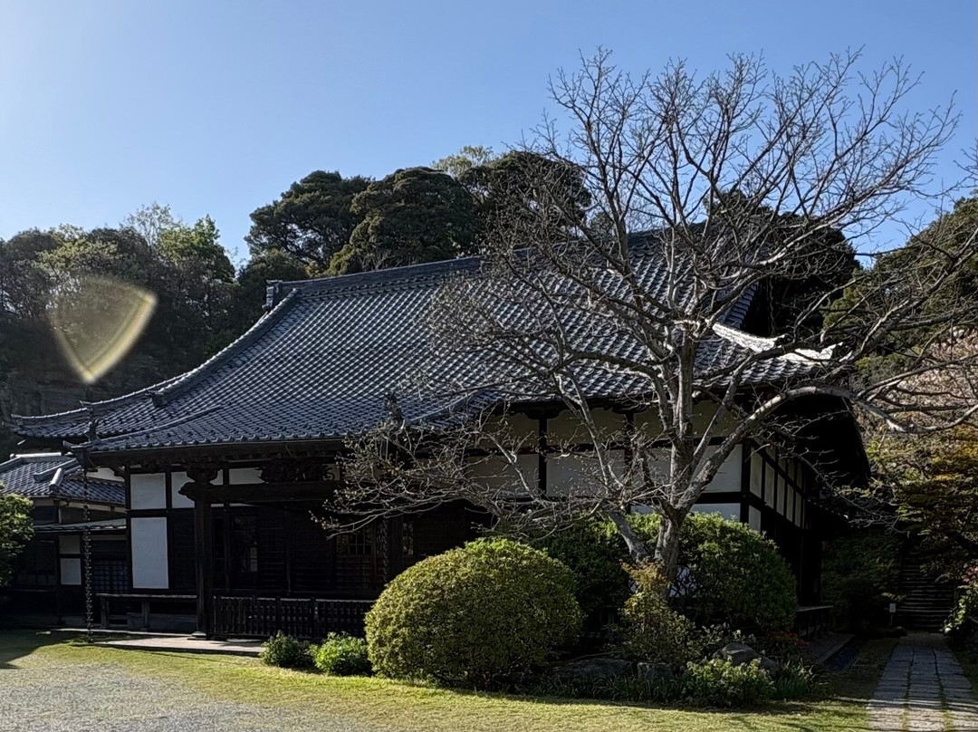 Joukoumyouji Temple-镰仓市必去景点