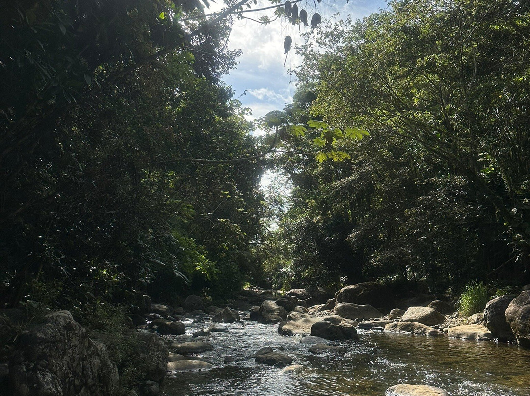 Encanto tours PR-Isla Verde必去景点