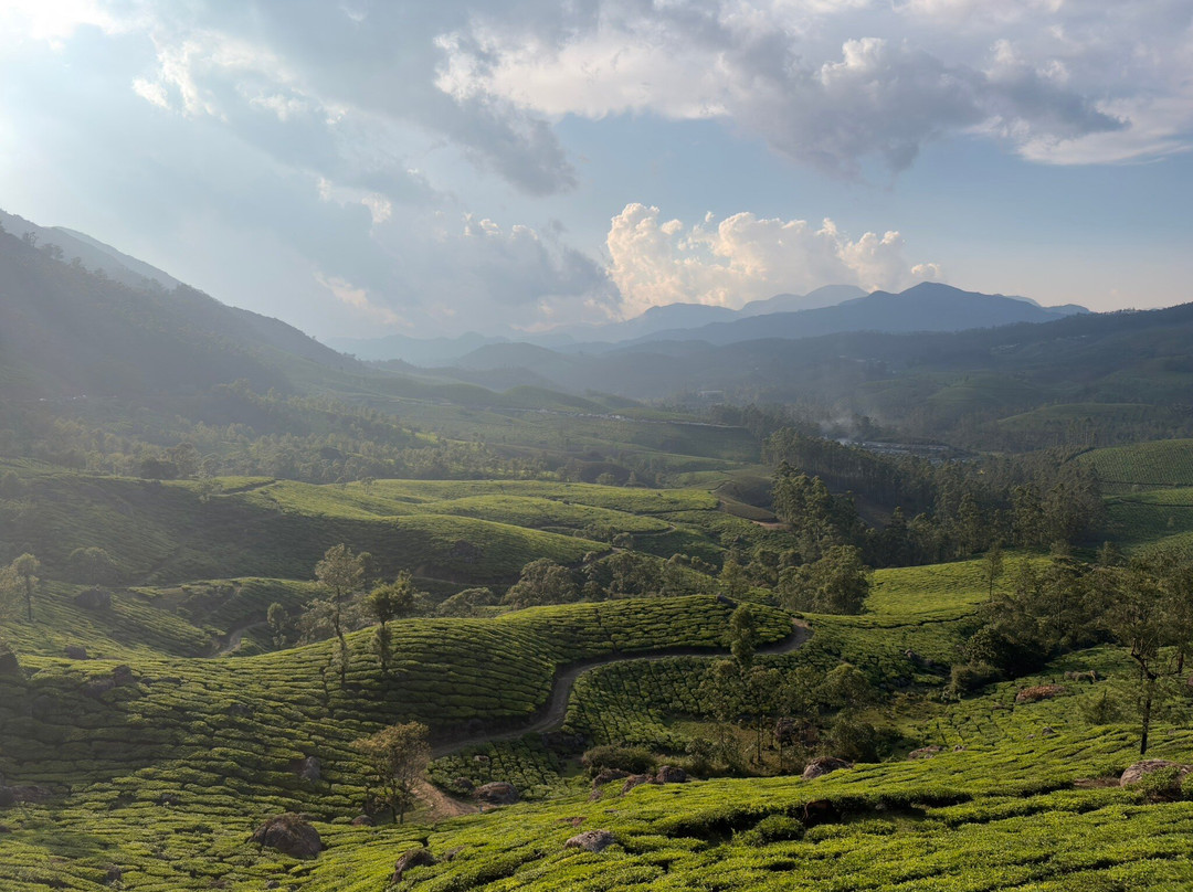 Club Mahindra Mount Serene, Munnar Resort主图