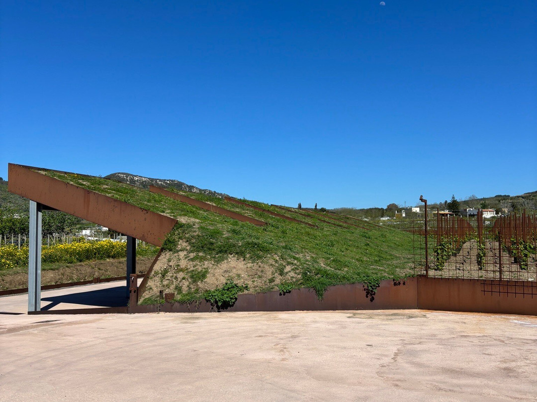 Tenuta Di Castellaro Winery-利帕里必去景点