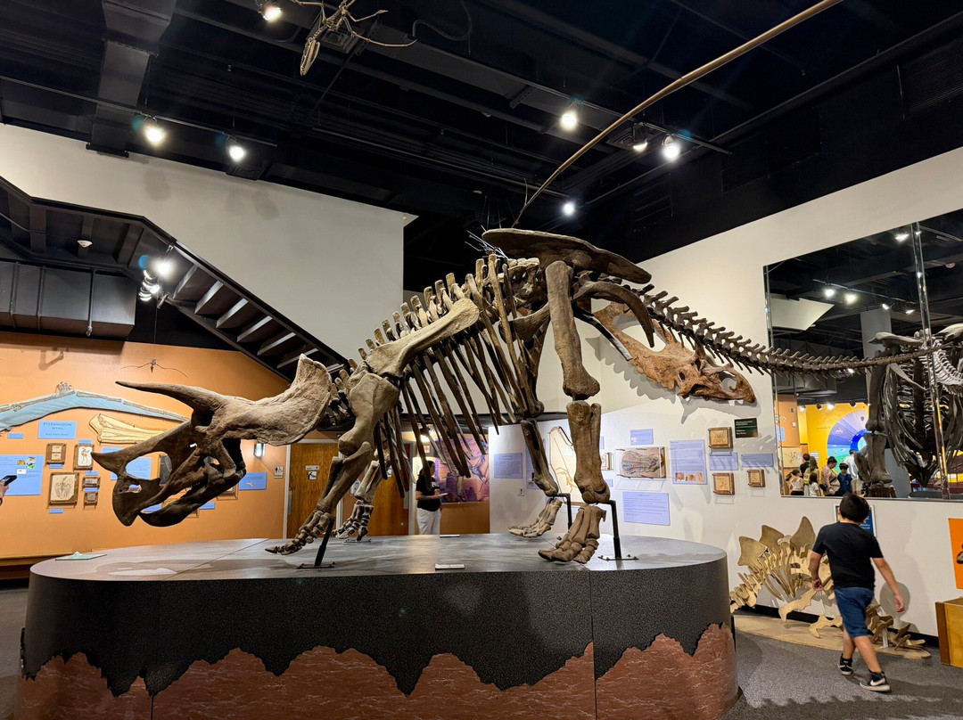 Arizona Museum Of Natural History-梅萨必去景点