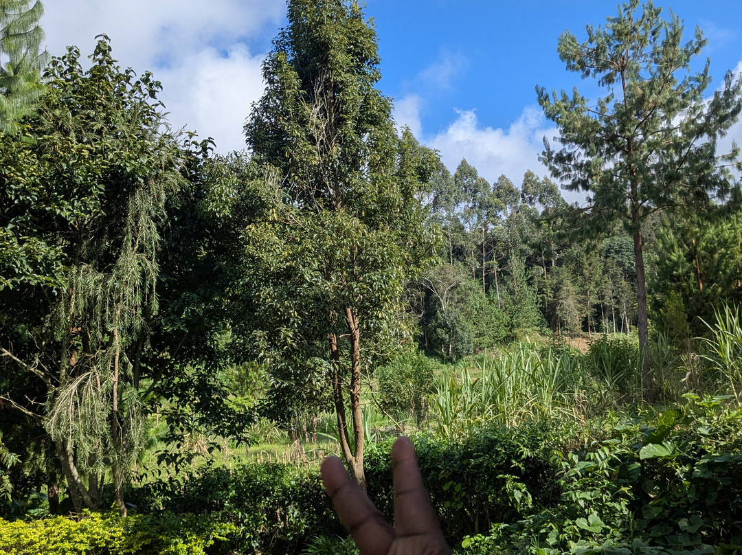 Magamba Eco-cultural Tourism-卢绍托必去景点