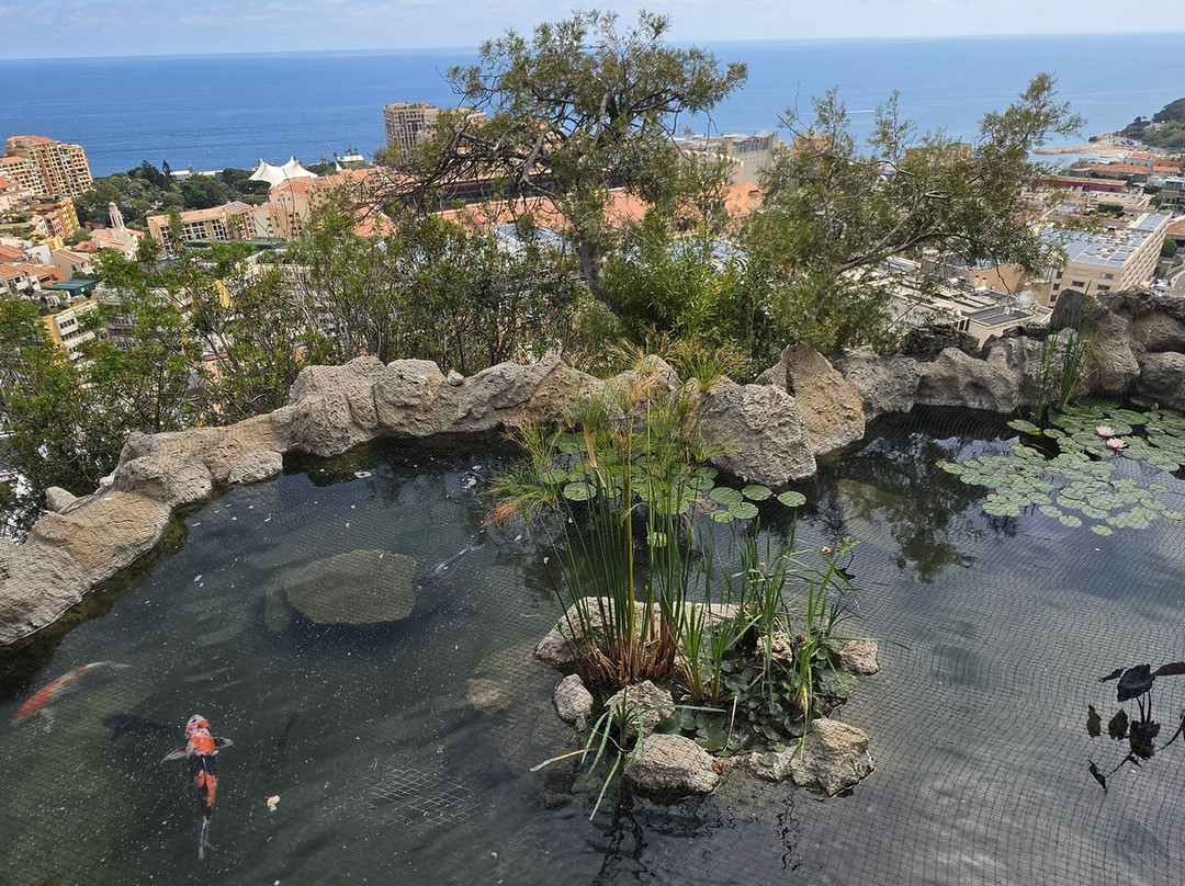 Jardin Exotique de Monaco-摩纳哥城必去景点
