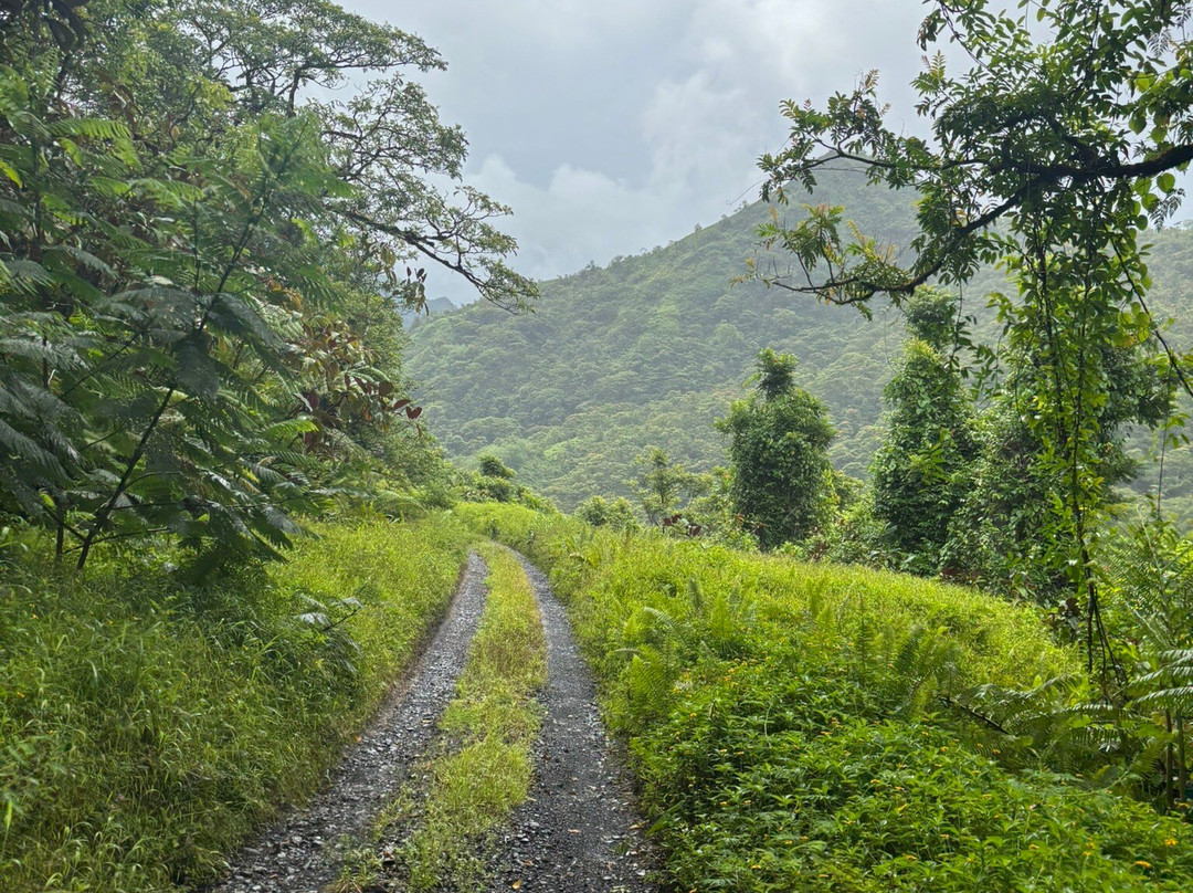 Karatu Expedition Safari-阿鲁埃必去景点