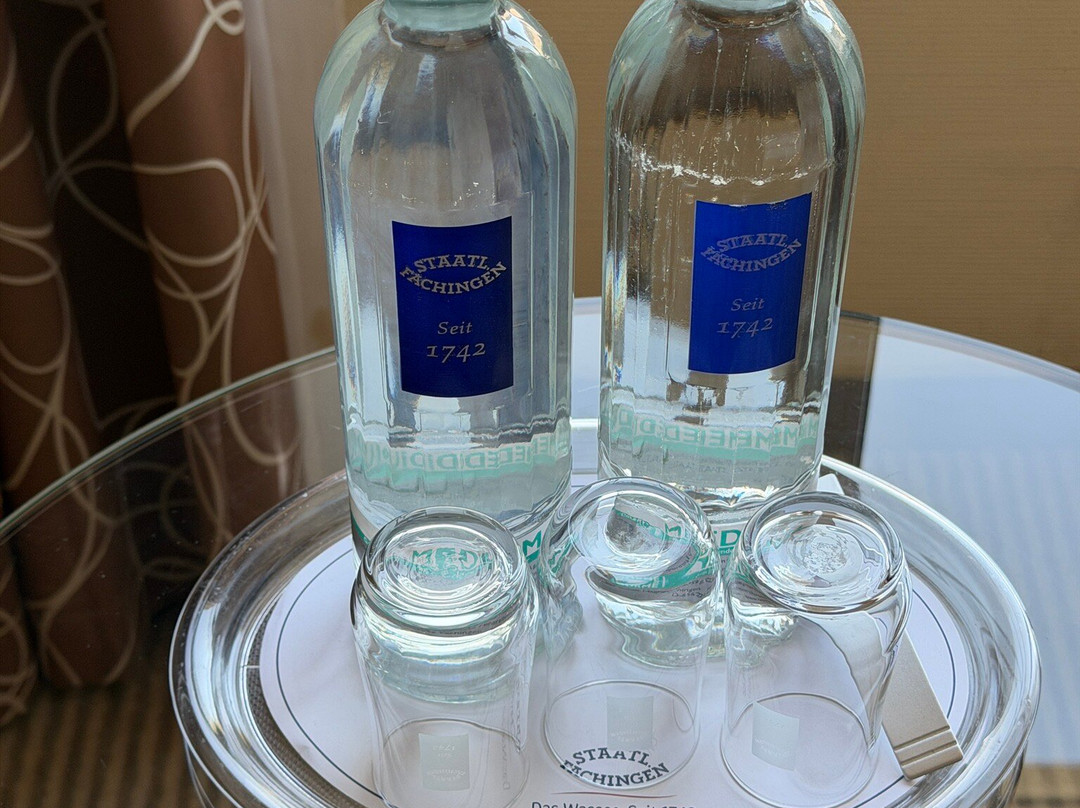 曼海姆市政厅美居酒店主图