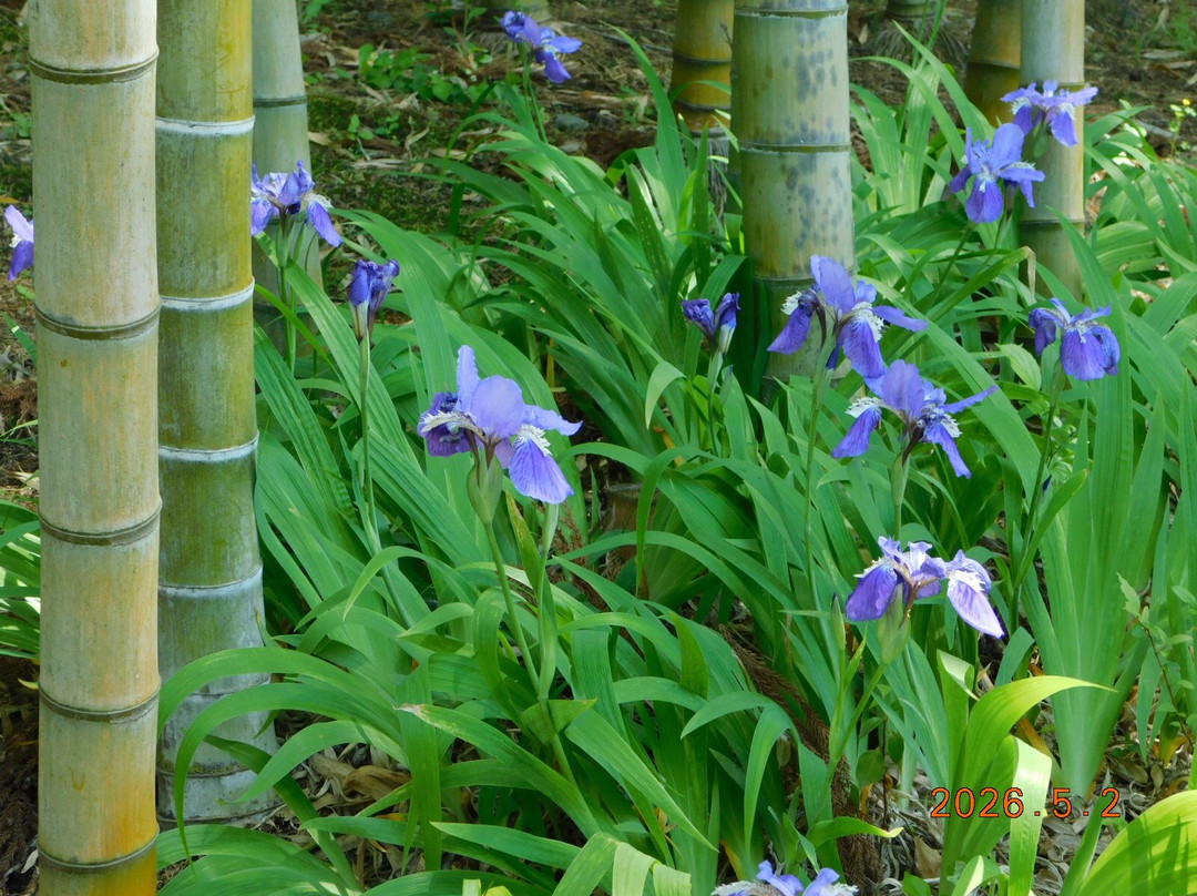 Tokorozawa Aviation Memorial Park-所泽市必去景点