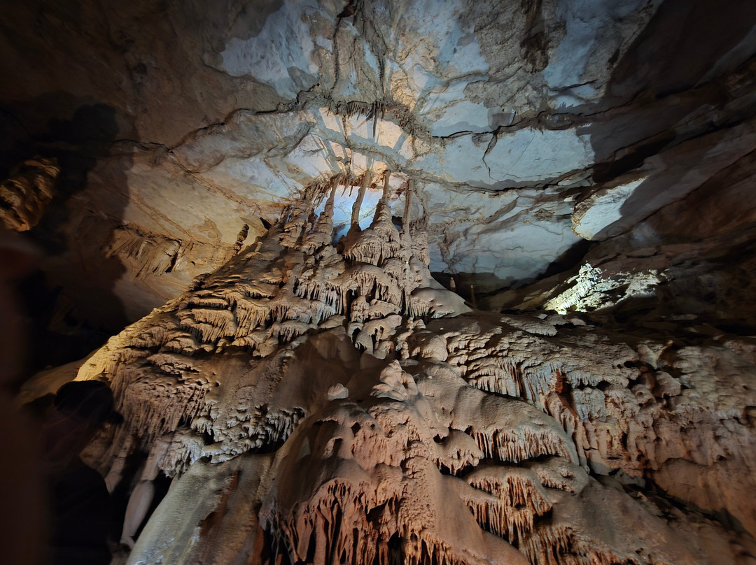 Cathedral Caverns State Park-Woodville必去景点