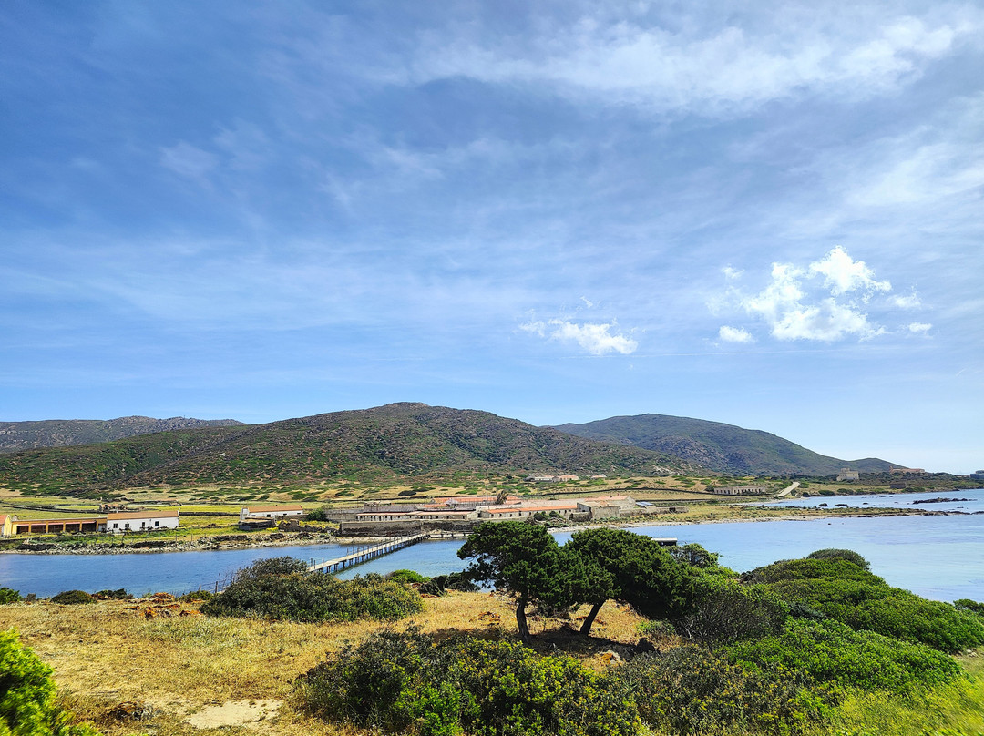 Asinara Charter Service-斯廷蒂诺必去景点