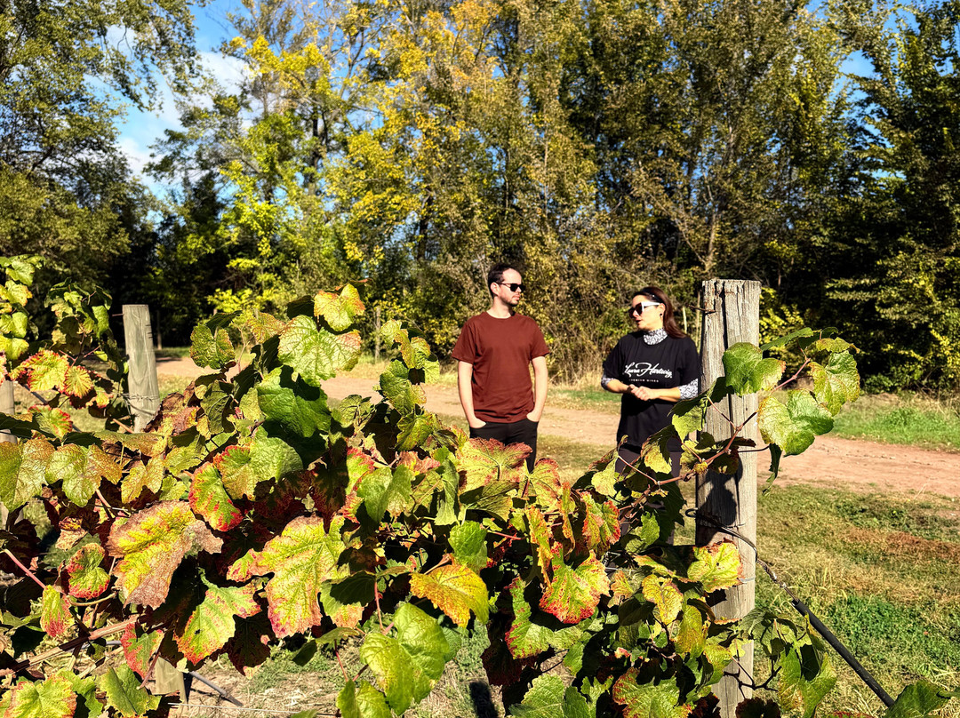 Colchagua Turismo Rural-圣克鲁斯必去景点