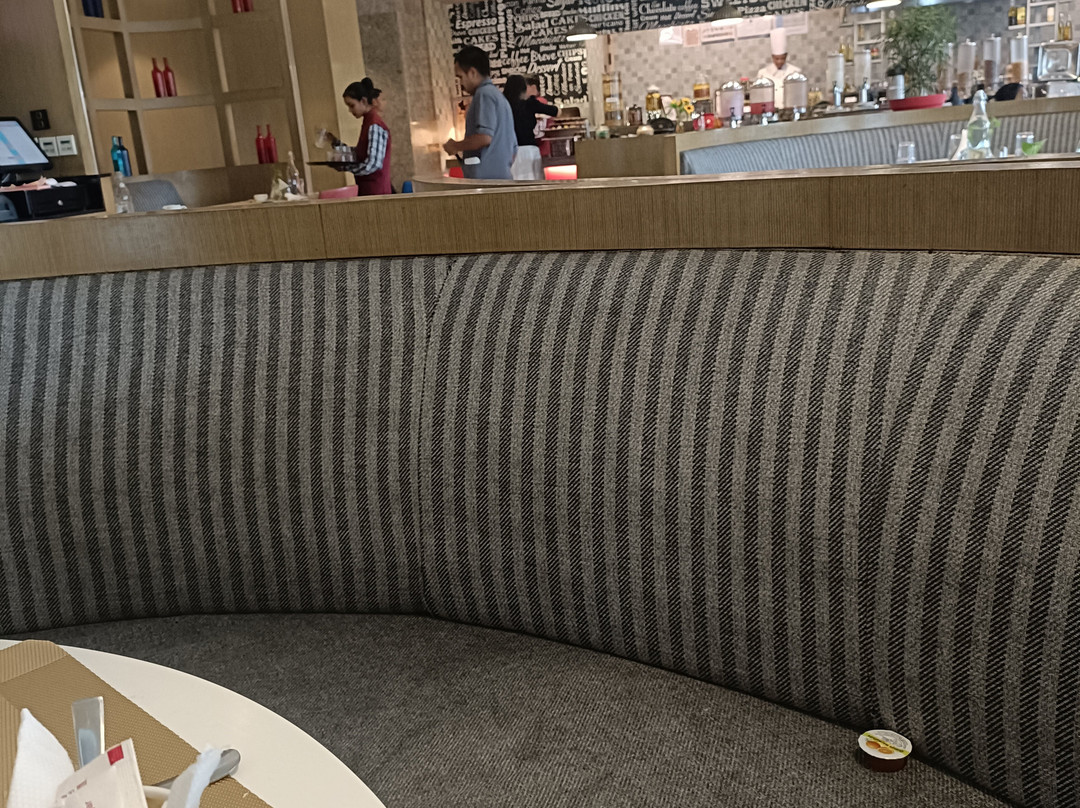 Ramada Plaza by Wyndham Lucknow主图
