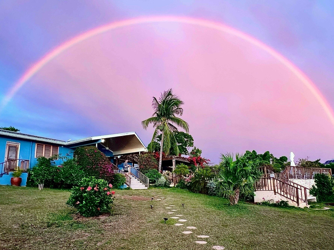 MycoMeditations Psilocybin-Assisted Retreats-瑰宝滩必去景点