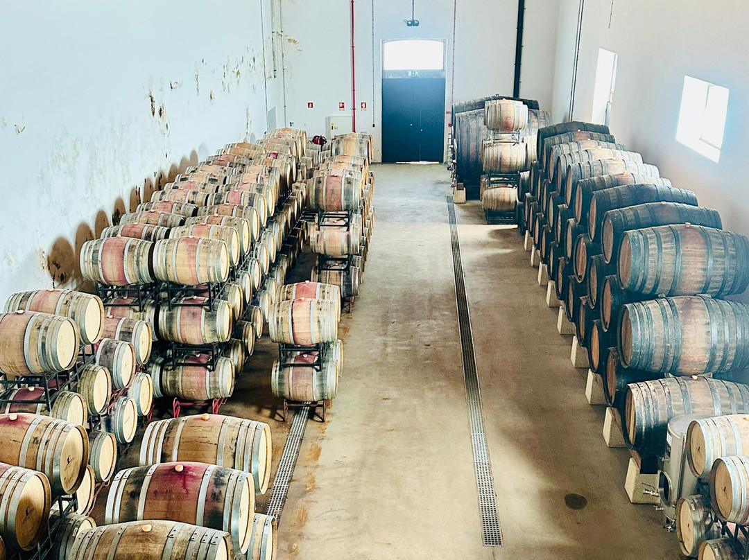 Wine Tourism - Quinta dos Murcas