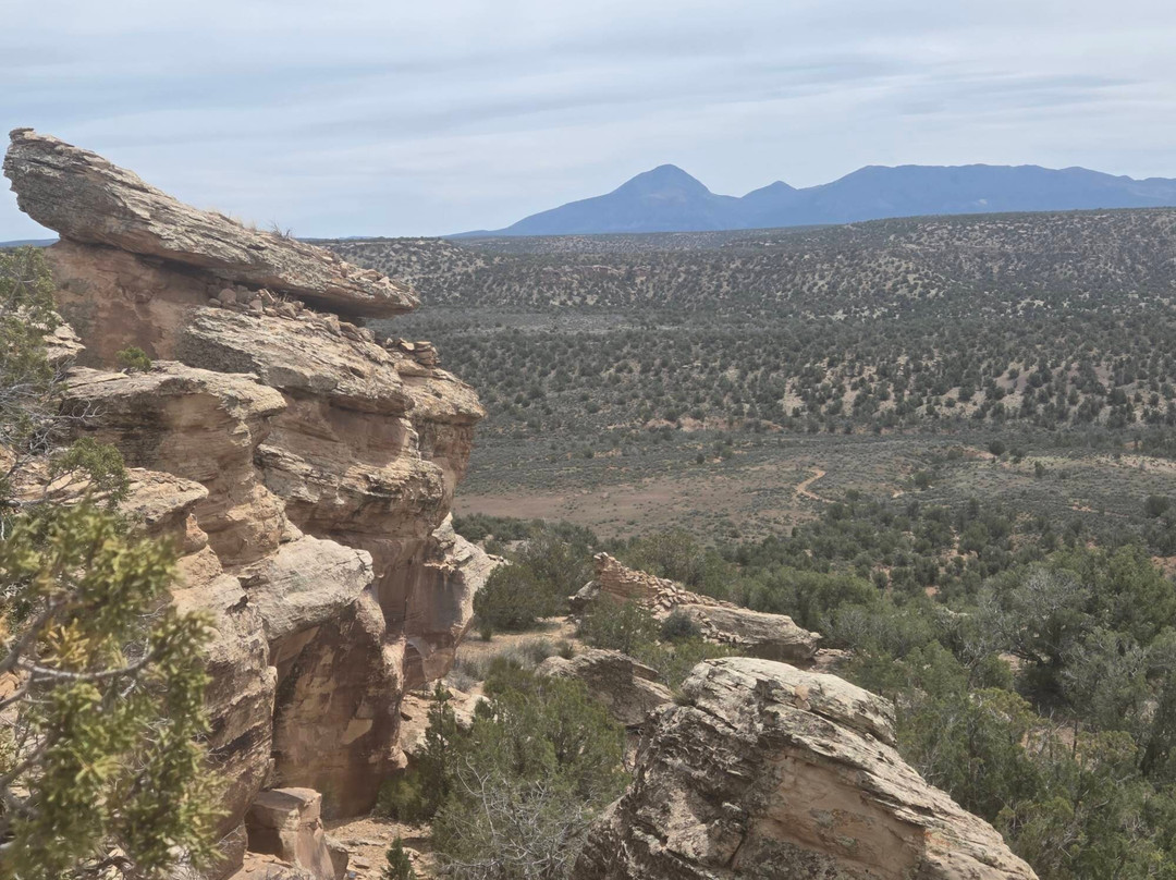 Canyons Of The Ancients National Monument-Pleasant View必去景点