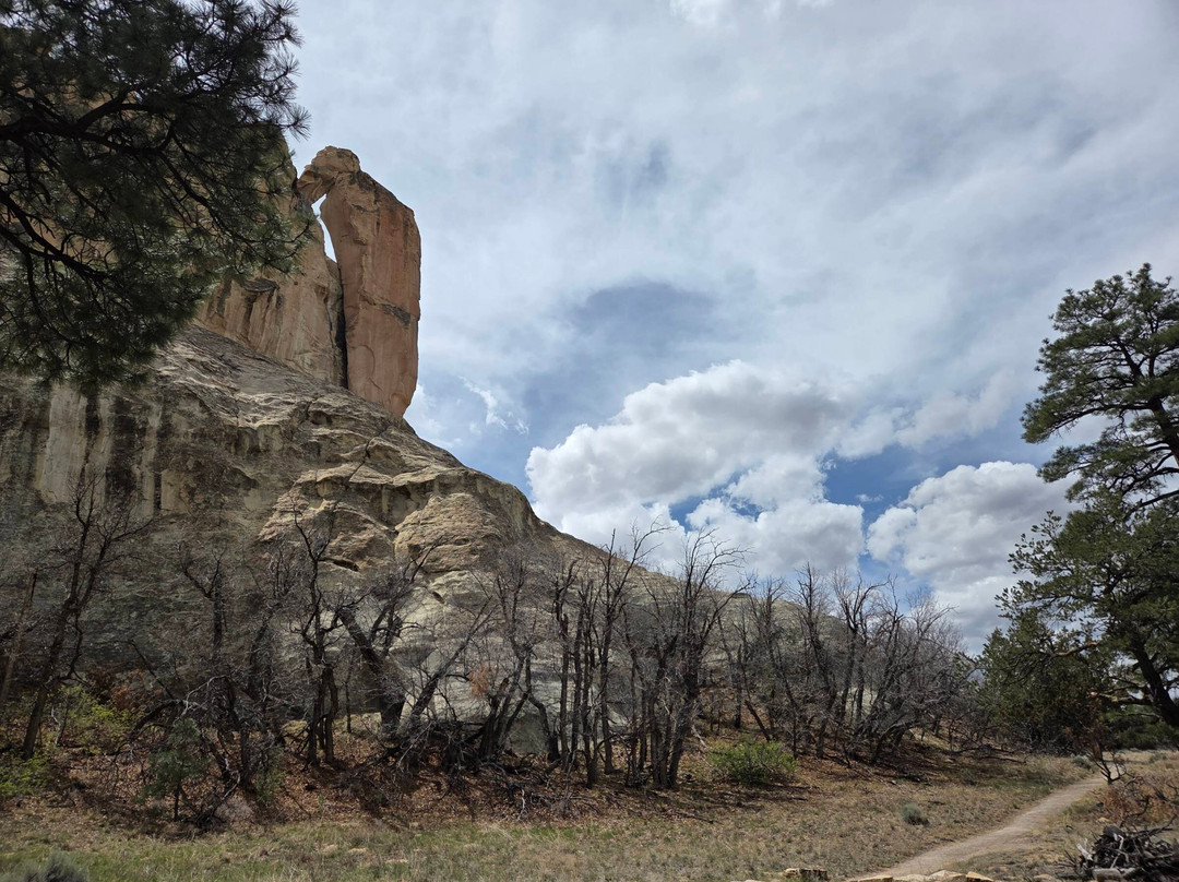 El Morro National Monument-Ramah必去景点