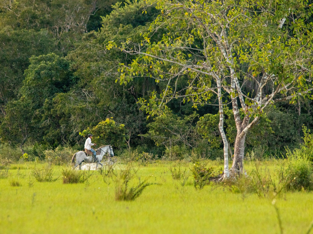 Finca Cacarachi-San Ignacio de Velasco必去景点