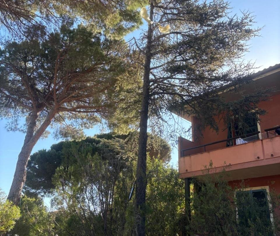 Casavacanze Zeus