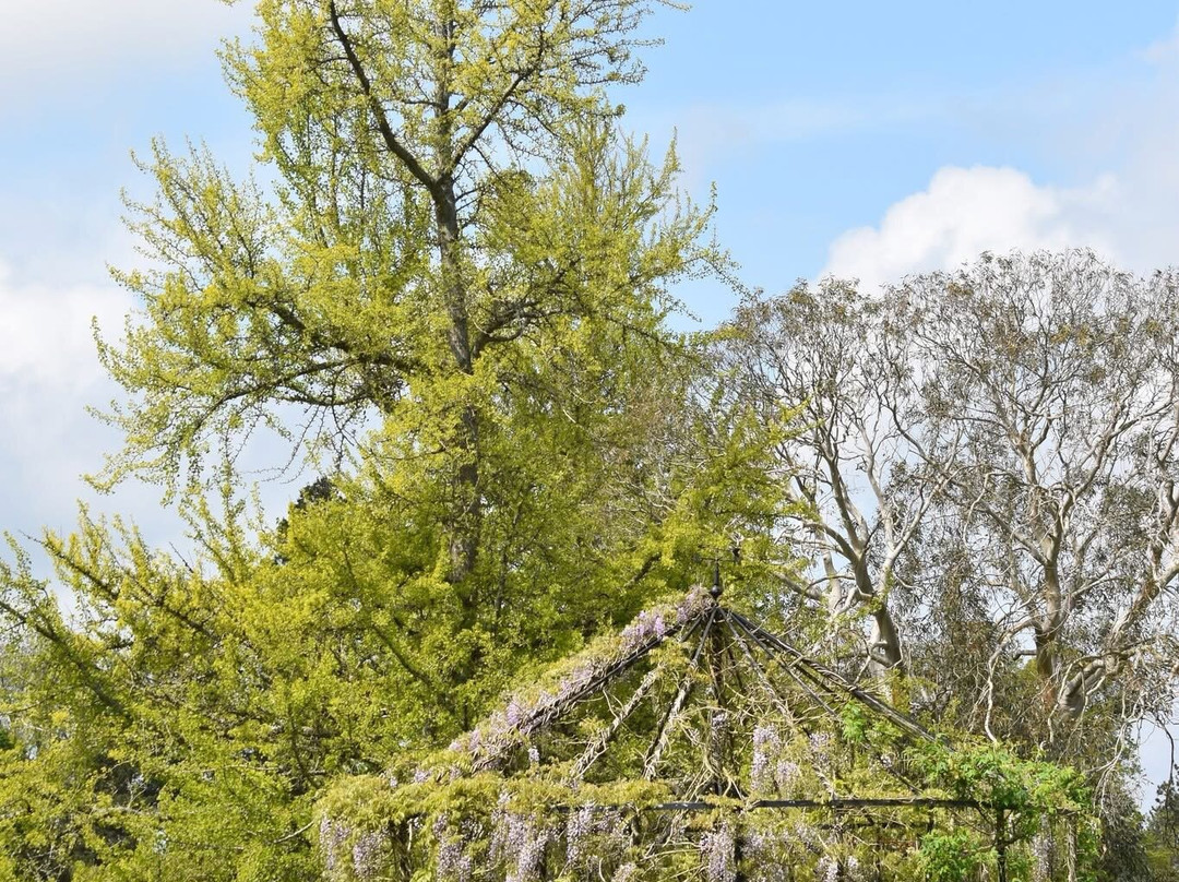 Wakehurst-Haywards Heath必去景点
