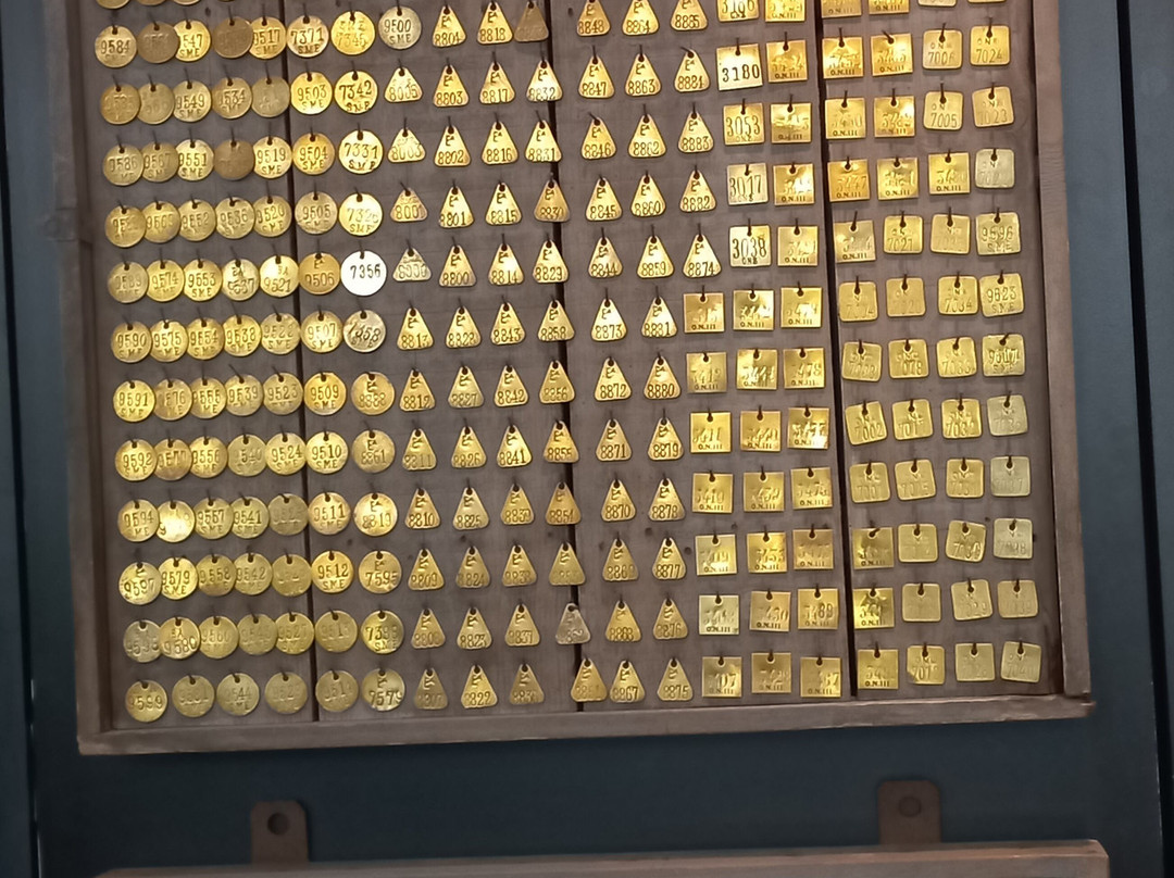 Nederlands Mijnmuseum-海尔伦必去景点