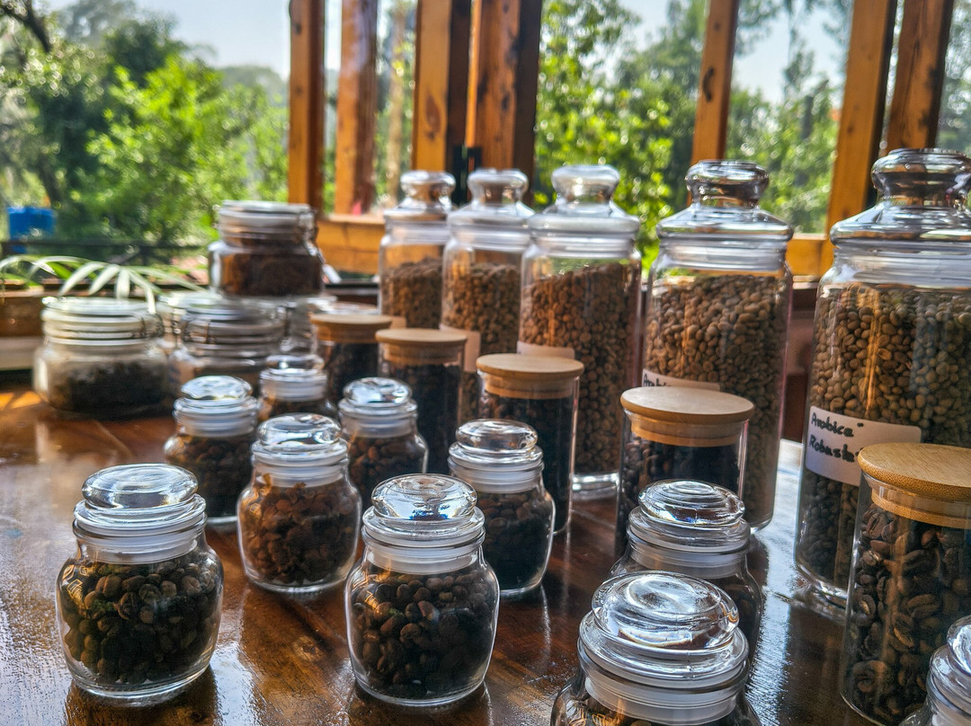 Greendale Coffee Experience