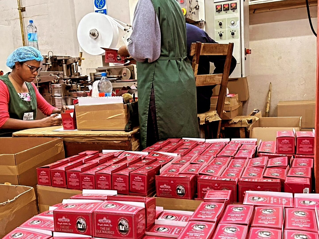 Bois Cheri Tea Factory and Tea Museum-Bois Cheri必去景点