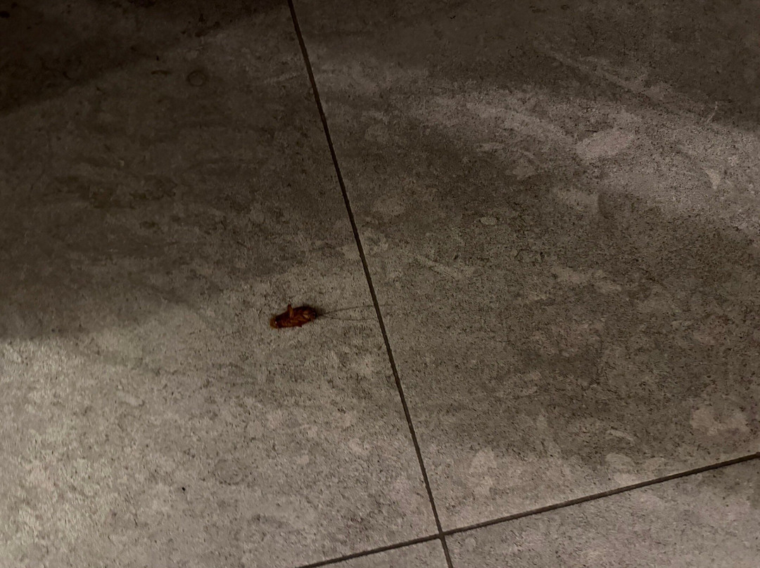 治愈花园酒店主图