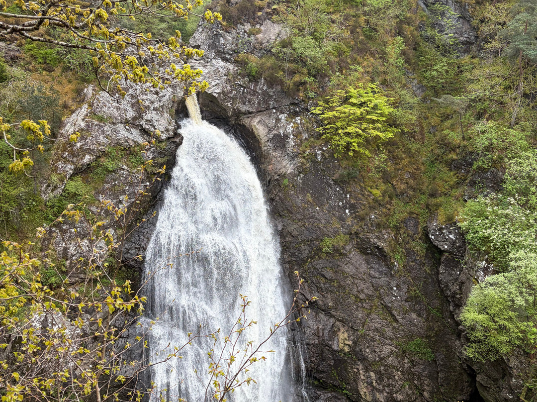 福耶斯湾乡村民宿主图