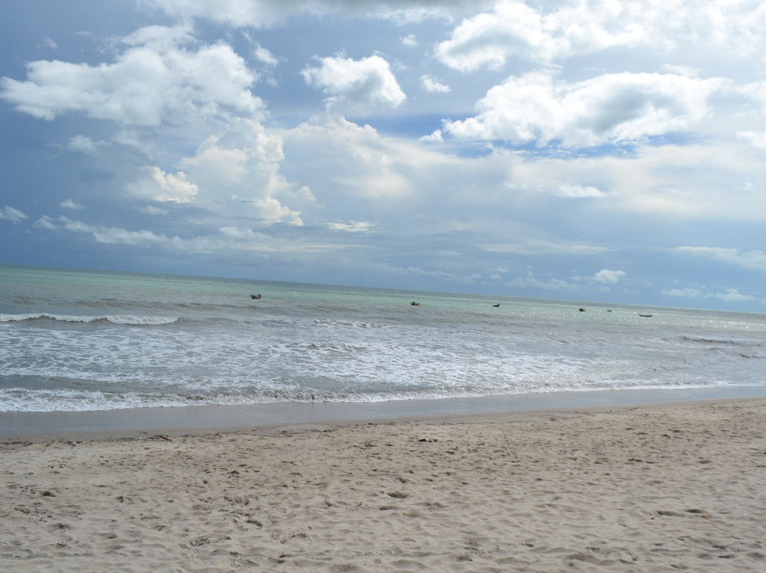 Praia do Preá-杰里科科拉必去景点