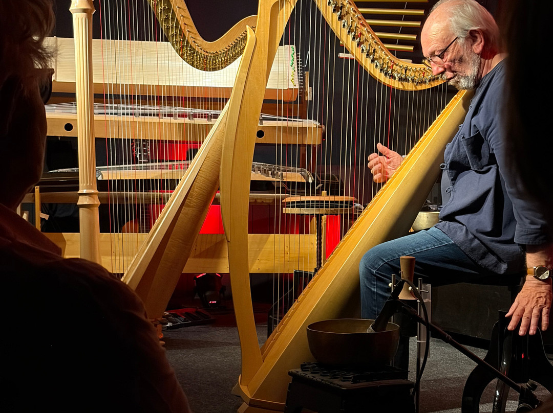 Luc Vanlaere Harpist - Harp Museum-布鲁日必去景点
