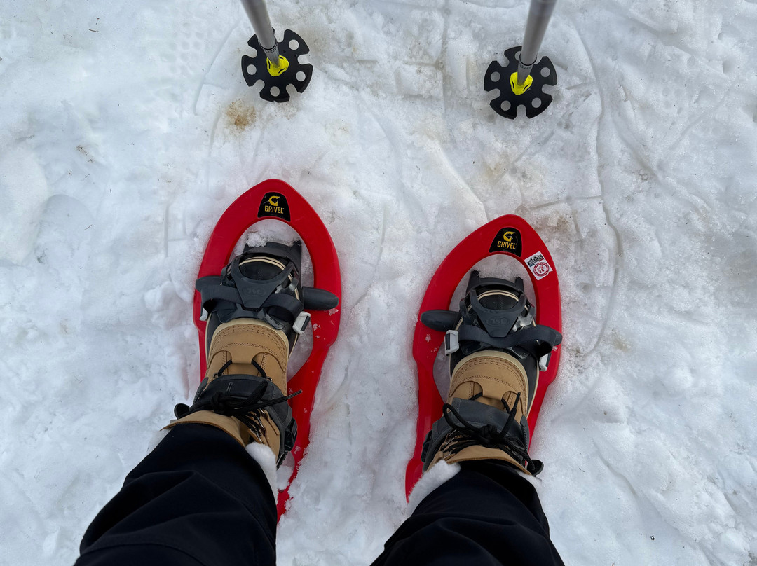 Hayley Webb Mountain Adventures-Hesket Newmarket必去景点