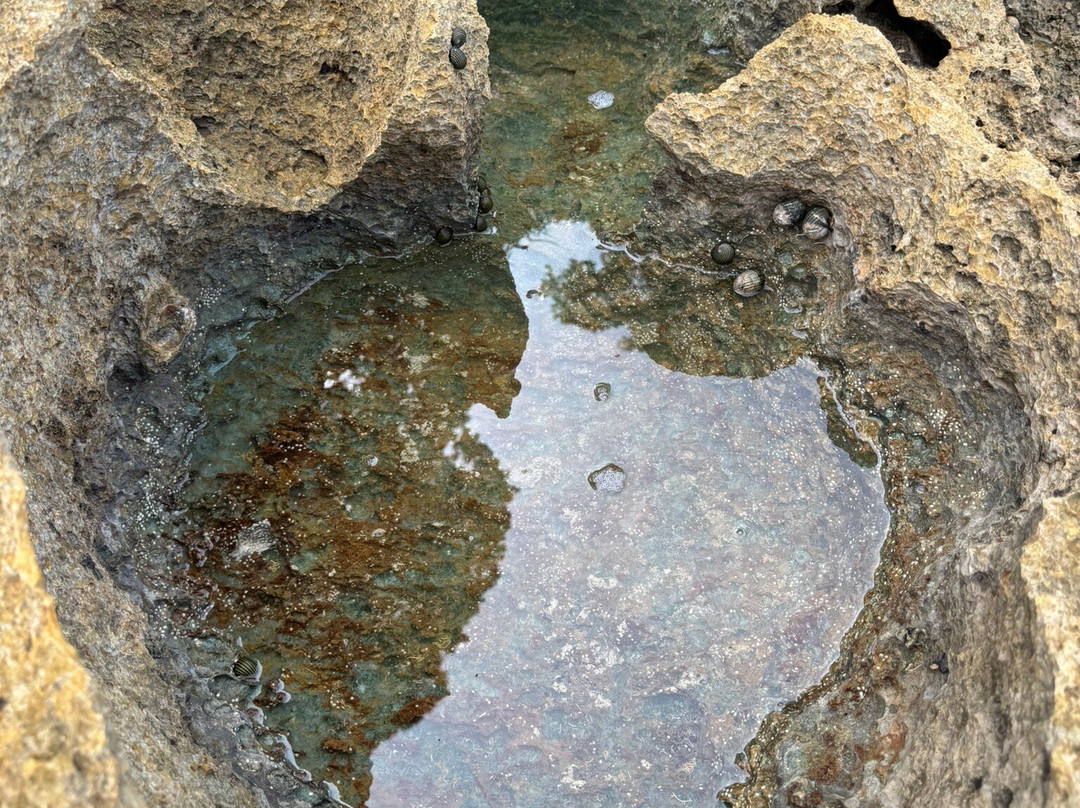 Natural Coral Bridge-Neil Island必去景点