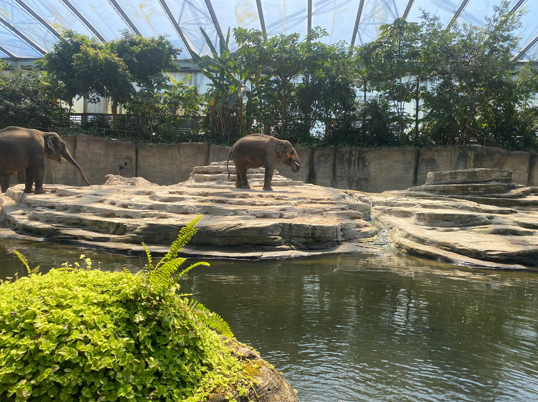 Wildlands Adventure Zoo Emmen-Emmen必去景点