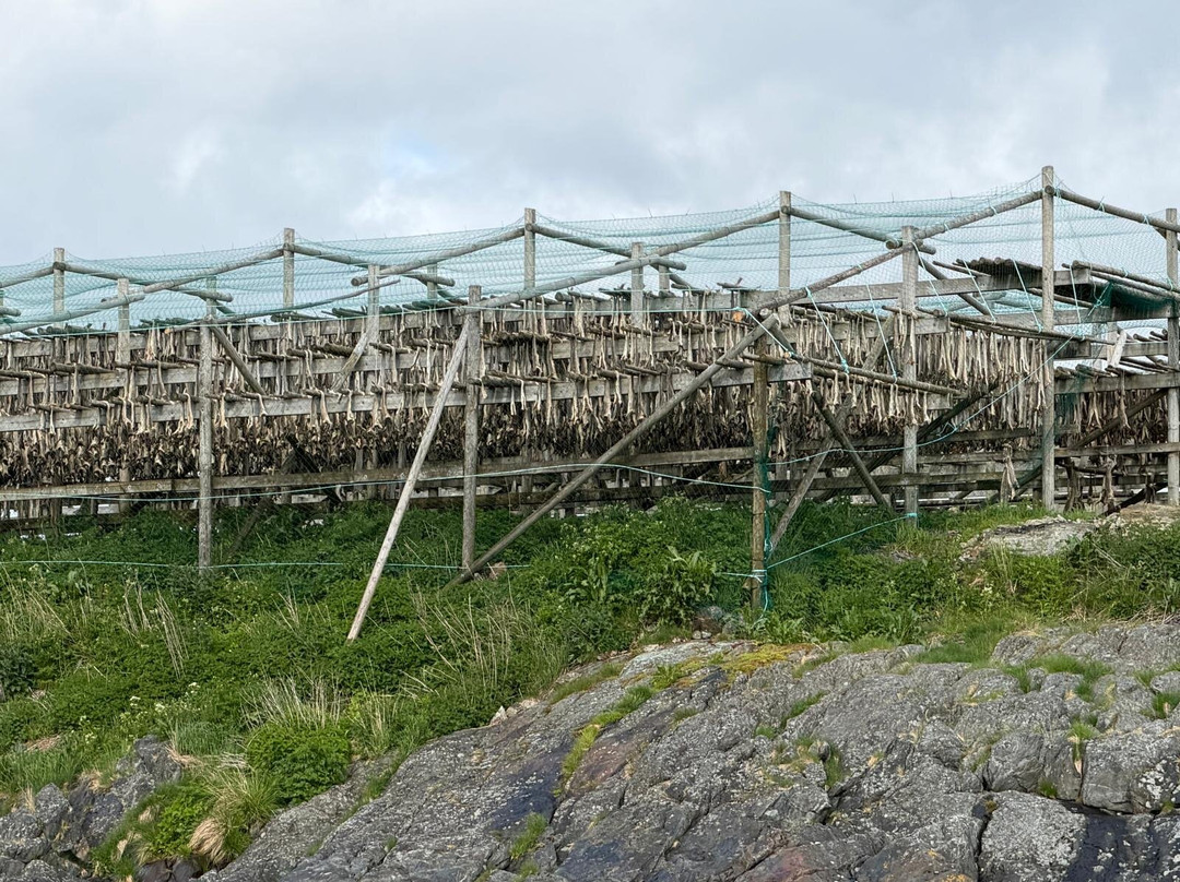 Kayak Lofoten-霍宁斯沃格必去景点