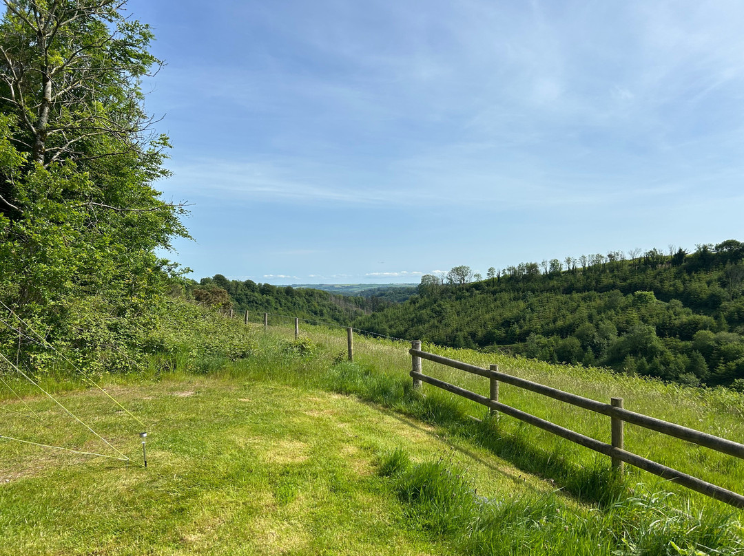 Huxtable Farm Bed & Breakfast And Camping主图