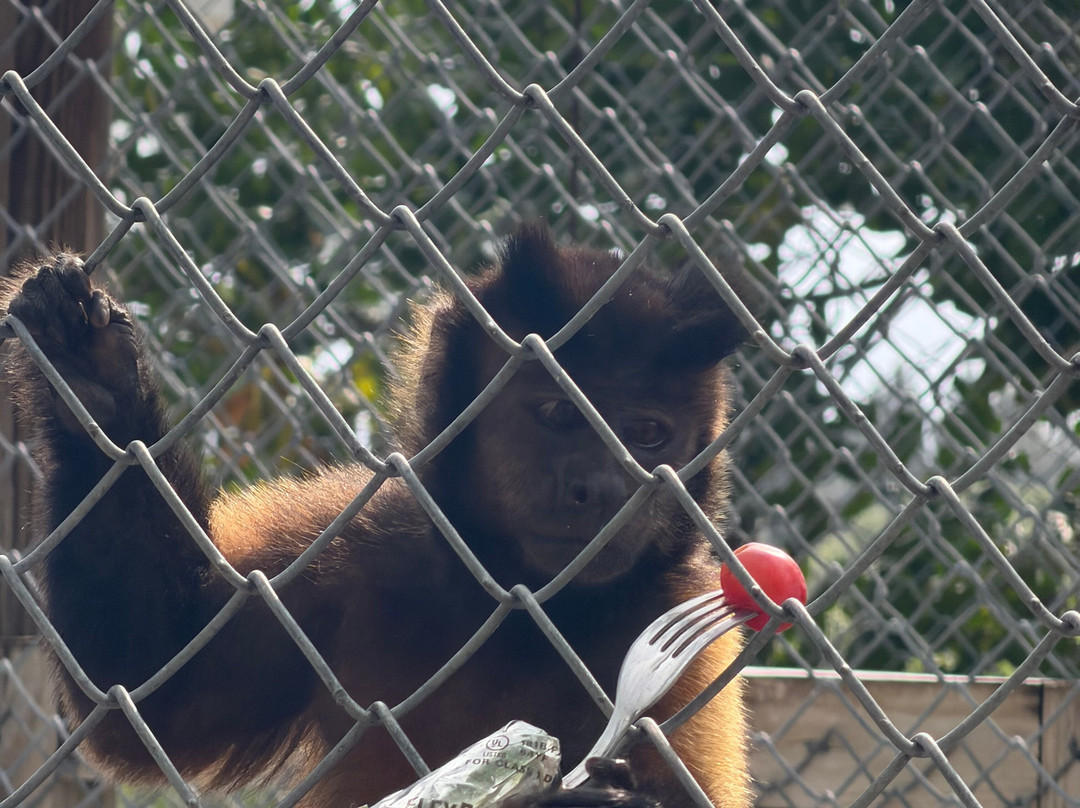 Octagon Wildlife Sanctuary-蓬塔戈尔达必去景点