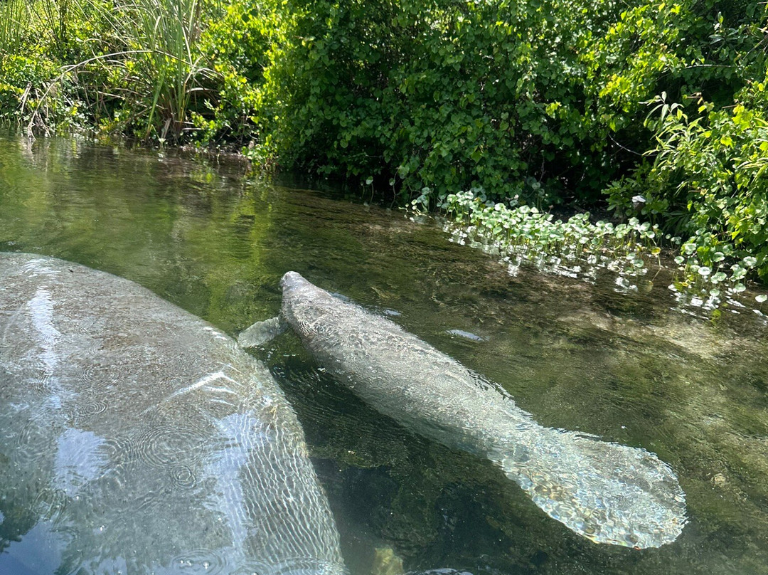 Weeki Wachee Springs-Weeki Wachee必去景点