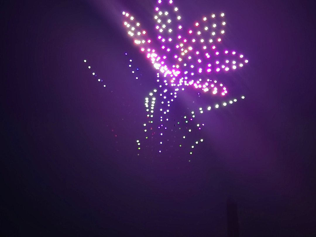 DroneArt Show - Strasbourg-Hoerdt必去景点
