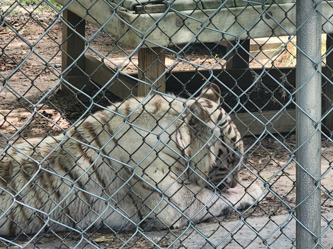 Animal Park NC-伯灵顿必去景点